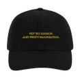 Tax Evasion Cap